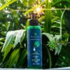 Mugwort hair wash - Image 2
